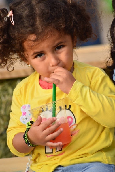 Spring at the roof market - Citymall